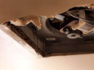 Professional water damage restoration services in Alexandria - VantaSeal Team